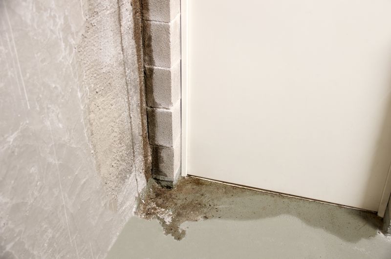 Basement Seepage Repair